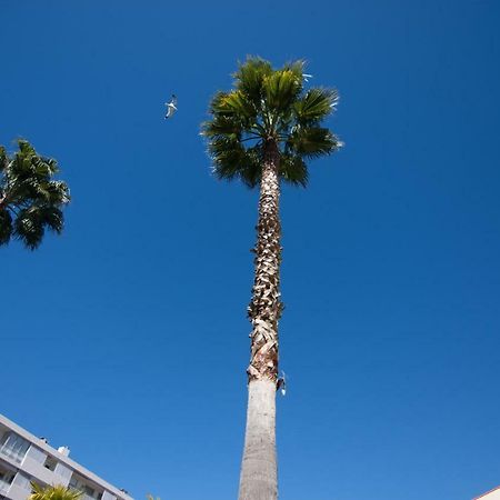 Appartamento Le Parc Pointe Croisette Cannes Esterno foto