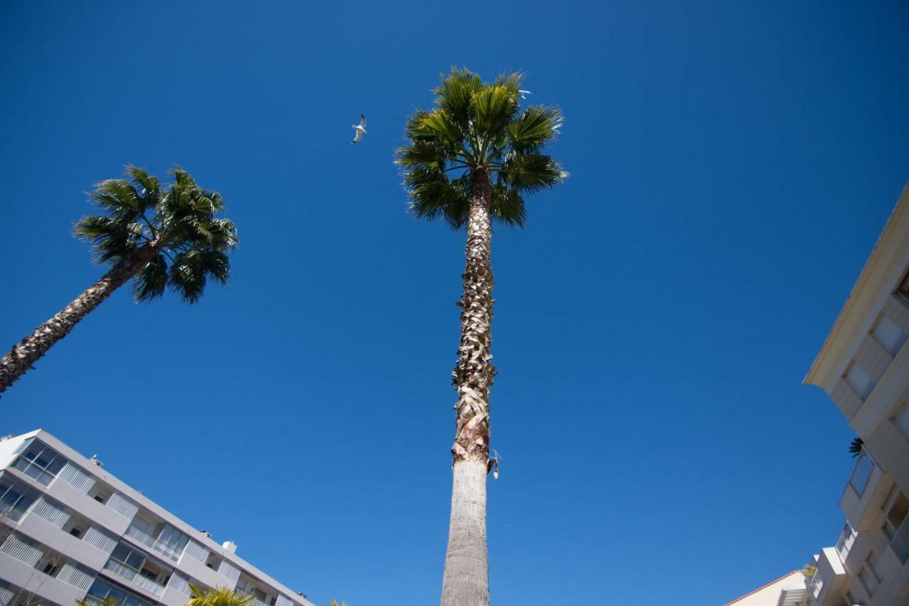 Appartamento Le Parc Pointe Croisette Cannes Esterno foto